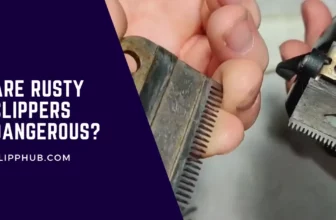 Are Rusty Clippers Dangerous?