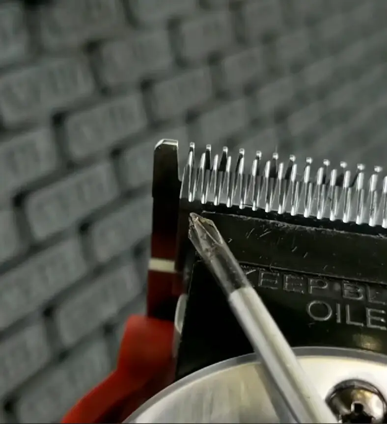 Why Are My Clippers So Loud? (Top Reasons & Solutions)