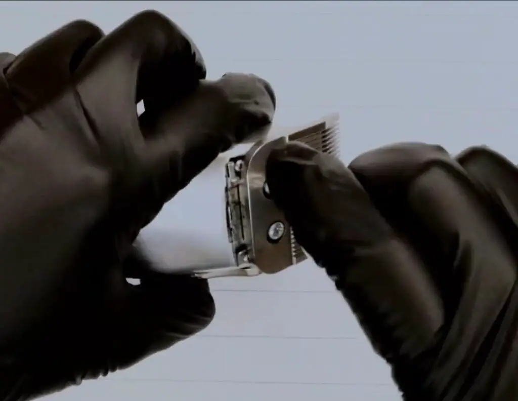 How to fix andis clippers loud noise (BUZZING problem fixed)