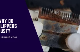 Why do hair clippers rust