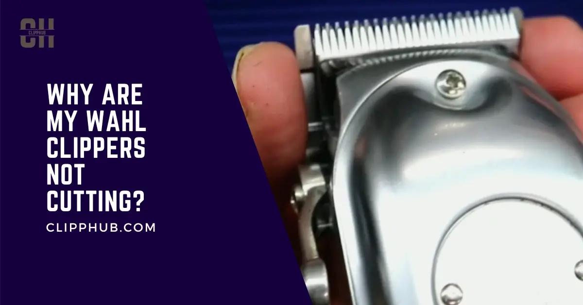 PHILIPS Trimmer Blade Fix  Repair  YouTube