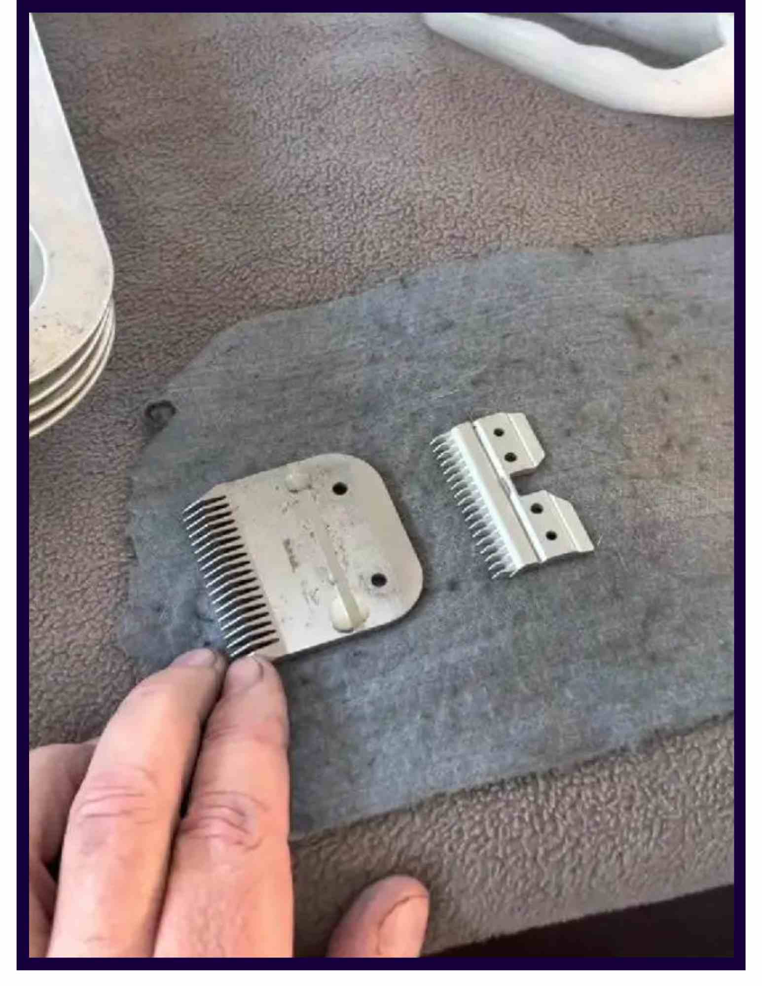 How to fix andis clippers loud noise (MUST know Solutions)