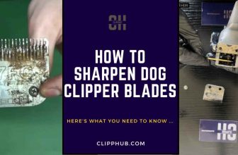 https://clipphub.com/how-to-sharpen-dog-clipper-blades-step-by-step-guide/