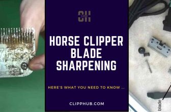Horse clipper blade sharpening