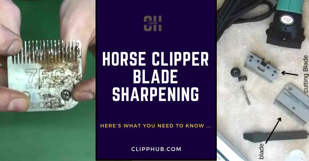Horse clipper blade sharpening