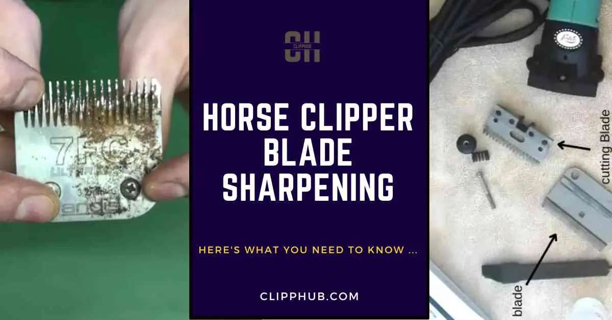 Clipper blade sharpening clearance magnet