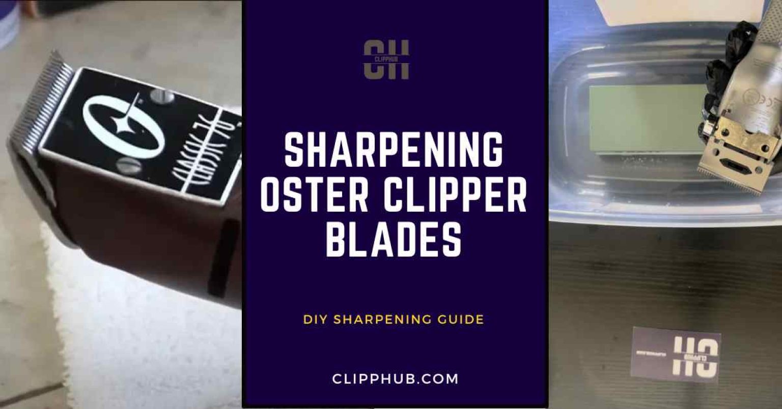 Sharpening Oster Clipper Blades (A StepbyStep Guide)