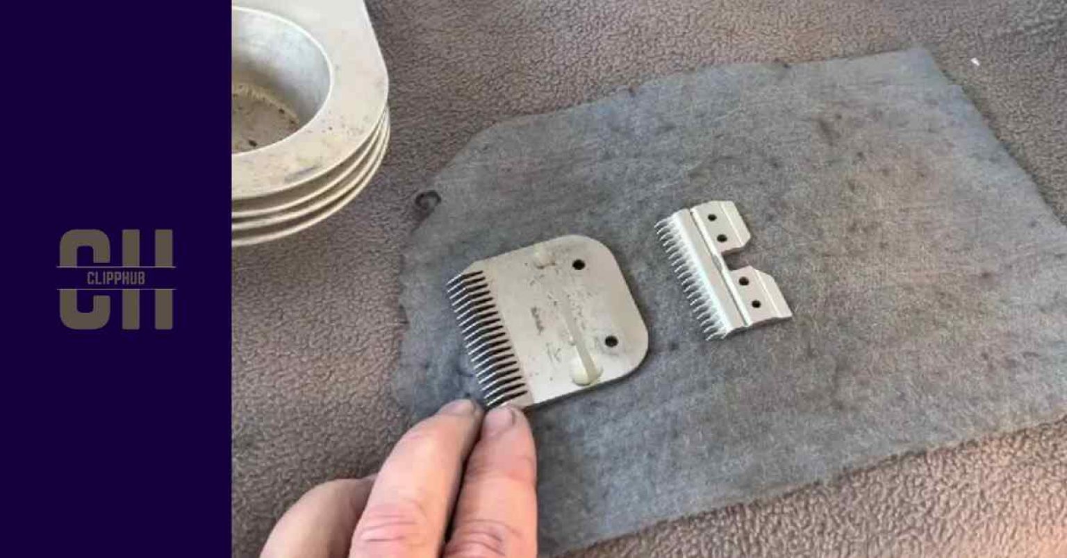 Sharpening Oster Clipper Blades (A StepbyStep Guide)