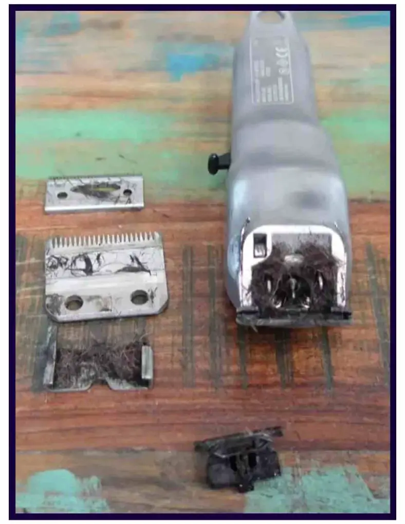 How To Clean Hair Clippers (Maximize Your Clippers' Lifespan)