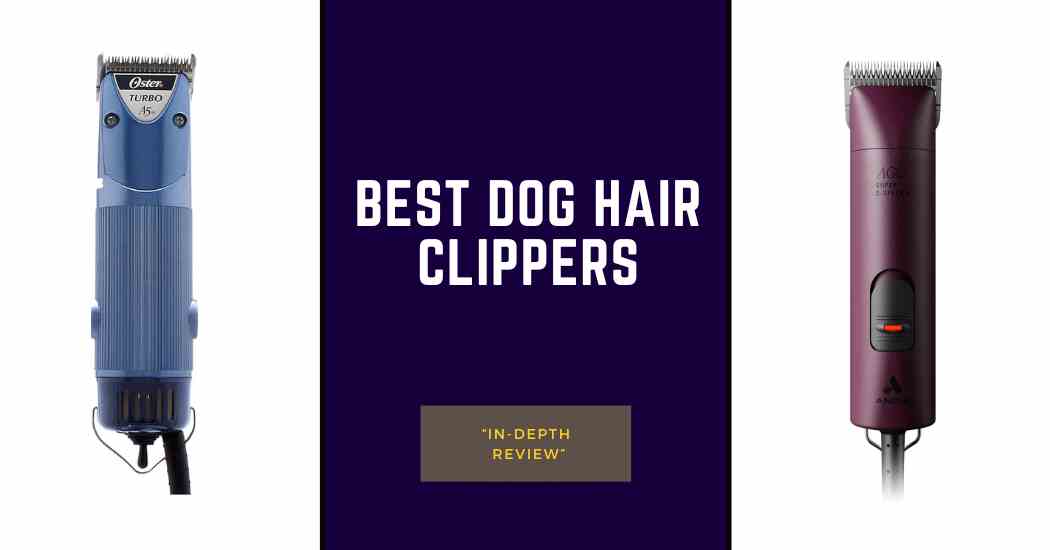 Best Dog Clippers(Top Hair clipper Kits for 2024)