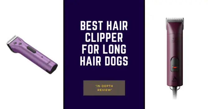 The 11 Best Professional Dog Clippers of 2026 - Dog Guide Reviews