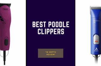 Best poodle clippers
