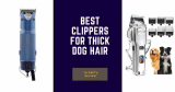 Best Clippers For Thick Dog Hair: From Fuzzy to Fabulous
