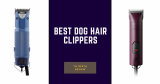 Best Dog Hair Clippers (The Best Picks For 2024)