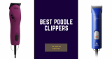 Best hair clippers for Poodles (The Only Picks You Need For 2024)