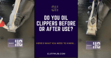Do You Oil Clippers Before or After Use? (Clipper Care 101)
