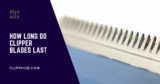 How Long Do Clipper Blades Last? (The Ultimate Guide)