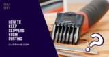 How To Keep Clippers From Rusting (DIY Maintenance Tips)